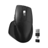 Delton S18 Wireless Optical Mouse, Black (DMS18-WB)