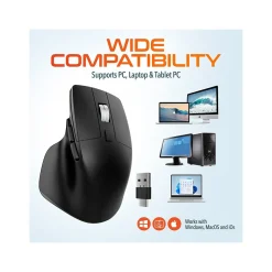 Delton S18 Wireless Optical Mouse, Black (DMS18-WB)
