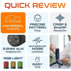 Delton U3000 Noise Canceling Condenser Microphone, Black (DRU3000)