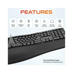 Delton Work Anywhere 10Y Noise Canceling Over-the-Ear Headset Kit (DBND4WRD10Y)