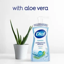 Dial Antibacterial Foaming Hand Soap, Spring Water Scent, 8/Carton (017000347394)