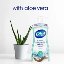 Dial Antibacterial Foaming Hand Soap, Coconut Water Scent, 8/Carton (017000347158)