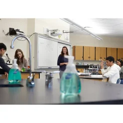 Dial Basics Foaming Hand Soap, Floral, 15.2 Oz., 4/Carton (98609)