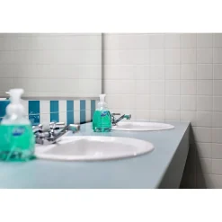 Dial Basics Foaming Hand Soap, Floral, 15.2 Oz., 4/Carton (98609)