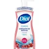 Dial Complete Antibacterial Foaming Hand Soap, Power Berries, 7.5 Oz. (DIA 03016)