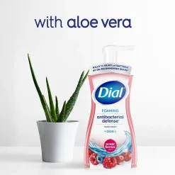 Dial Complete Antibacterial Foaming Hand Soap, Power Berries, 7.5 Oz. (DIA 03016)