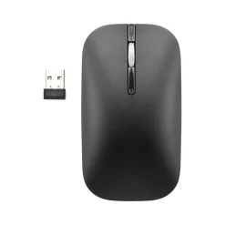 Digital Innovations LoPro Wireless Abidextrous Optical 2.4 GHz Mouse, Black (32312)