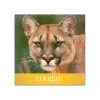 Domtar Cougar Digital 10% Recycled 8.5" x 11" Paper, 80 lbs., 98 Brightness, 250/Ream, 8 Reams/Carton (2986)