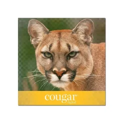 Domtar Cougar Digital 10% Recycled 8.5" x 11" Paper, 80 lbs., 98 Brightness, 250/Ream, 8 Reams/Carton (2986)