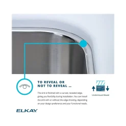Elkay Lustertone Classic Single-Bowl Undermount Sink w/Perfect Drain, 20.5