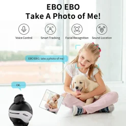 Enabot EBO X Home Robot, Black (EBO X)