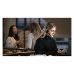 EPOS ADAPT 160 USB II Noise Canceling Stereo On Ear Mobile Headset, Black (1000915)