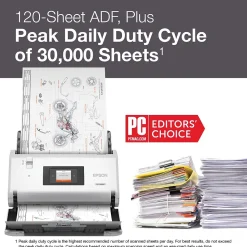 Epson DS-30000 Large-format Duplex Document Scanner, White (B11B256201)