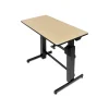 Ergotron WorkFit-D 48"W Adjustable Standing Desk, Birch (24-271-928)