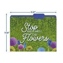Eureka Curiosity Garden File Folders, 1-Tab, Assorted, Letter Size, 6/Bundle (EU-866450-6)