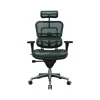 Eurotech Ergohuman Mesh Back Leather Task Chair, Black (LEM4ERG -LBK(N))