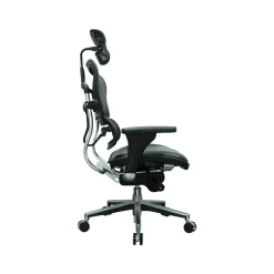 Eurotech Ergohuman Mesh Back Leather Task Chair, Black (LEM4ERG -LBK(N))
