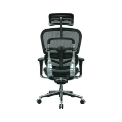 Eurotech Ergohuman Mesh Back Leather Task Chair, Black (LEM4ERG -LBK(N))