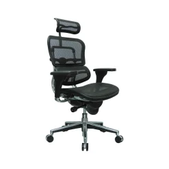 Eurotech High Back Mesh Task Chair, Black (ME7ERG(N))