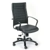 Eurotech High Back Titanium Frame Leather Executive Chair: Black