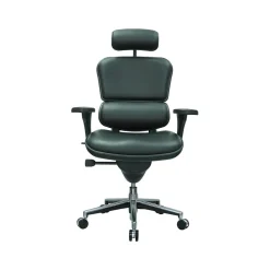Eurotech Leather Task Chair, Black (LE9ERG(N))