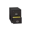 FireKing 1-Hour 2-Drawer Fire Resistant Vertical Cabinet, Legal-Size, Black, Inside Delivery (22131CBLI)