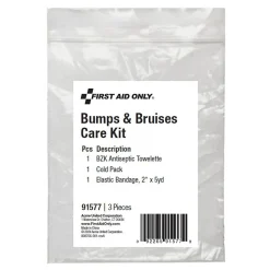 First Aid Only Bumps and Bruises Care Kit,3 Pieces, 25 Packs/Carton (91577)