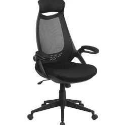 Flash Furniture Ivan Ergonomic Mesh Swivel High Back Executive Office Chair, Black (HL0018)
