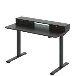 FlexiSpot EC9B Series 48"W Electric Adjustable Standing Desk, Black (EC9BDO04B)