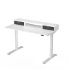 FlexiSpot EC9W Series 48" W Electric Adjustable Standing Desk, White (EC9WDO04W)