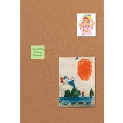 Flipside Products Cork Panel, 12.5" x 26", Pack of 3 (FLP37012-3)