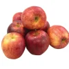Fresh Gala Apples, 8/Pack (900-00032)