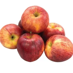 Fresh Gala Apples, 8/Pack (900-00032)