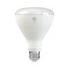GE 8 Watt Soft White LED General-Purpose Bulb Flood and light (48198)