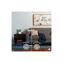 GE 5.5 Watt Soft White LED General-Purpose Bulb, 4/Pack (93131062)