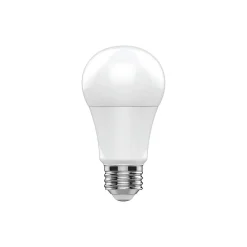 GE 5.5 Watt Soft White LED General-Purpose Bulb, 2/Pack (93131319)