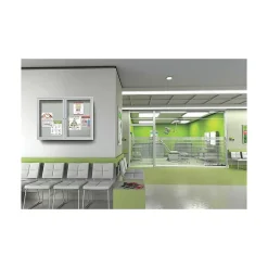 Ghent Vinyl Enclosed Bulletin Board, Satin Frame, 3'H x 4'W (PA23648VX-193)