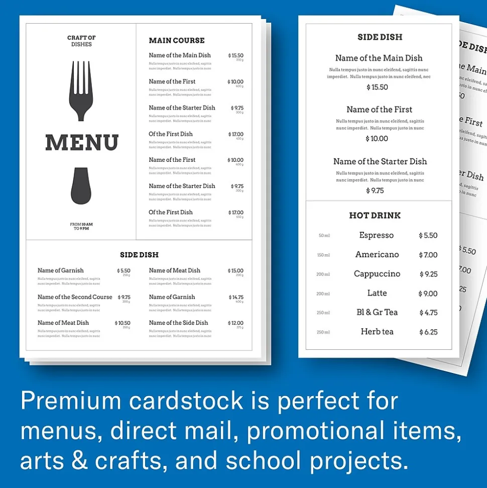 Hammermill Premium 8.5" x 11", Cardstock Paper, 110 lbs., White, 600 Sheets/Ream (168380)