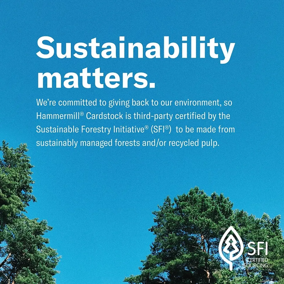 Hammermill Premium 8.5" x 11", Cardstock Paper, 110 lbs., White, 600 Sheets/Ream (168380)