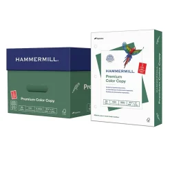 Hammermill Premium 8.5" x 11" 3-Hole Punched Color Copy Paper, 28 lbs., 100 Brightness, 500 Sheets/Ream, 8 Reams/Carton (102500)
