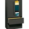 HON® 700 Series 2 Drawer Lateral File Cabinet w/Roll-Out & Posting Shelves, Charcoal, Letter/Legal, 36"W (HON785LSS)