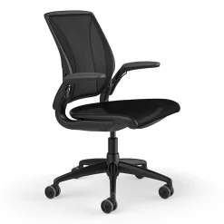 Humanscale Diffrient World Ergonomic Mesh Swivel Task Chair, Black (W11BJ10J10SHNSC)