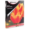 Innovera Glossy Photo Paper, 8.5" x 11", 100 Sheets/Pack (IVR99490)