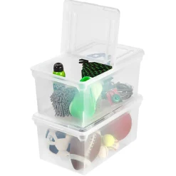 IRIS Letter Size File Box Storage, Clear (139921)