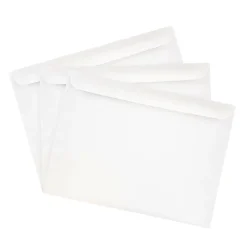 JAM Paper 9.5 x 12.625 Booklet Commercial Envelopes, White, 25/Pack (4023221)