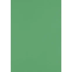 JAM PAPER 12" x 18" Cardstock, Holiday Green, 50/pack (1218-C-L17-50)