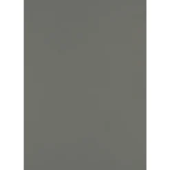 JAM PAPER 13" x 19" Cardstock, 100lb, Smoke, 50/pack (1319-C-22-50)