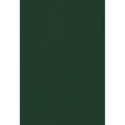 JAM PAPER 11" x 17" Cardstock, 100lb, Green Linen, 50/pack (1117-C-GNLI-50)