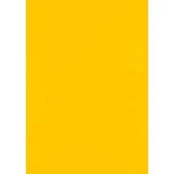 JAM PAPER 12" x 18" Cardstock, Sunflower, 50/pack (1218-C-12-50)