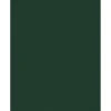 JAM PAPER 8.5" x 11" Color Cardstock, Green Linen, 50/pack (81211-C-GNLI-50)